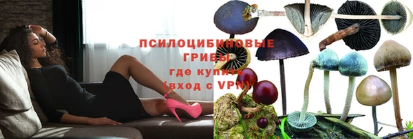 ПСИЛОЦИБИНОВЫЕ ГРИБЫ Вязьма