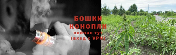 твердый Горно-Алтайск