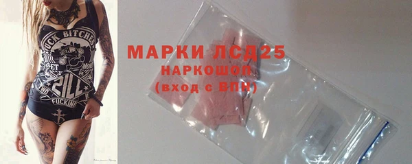 apvp Горняк