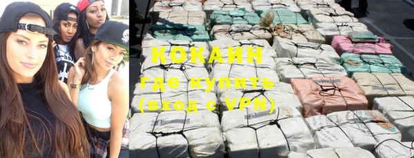 прущие грибы Горнозаводск