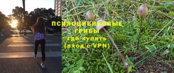 прущие грибы Горнозаводск
