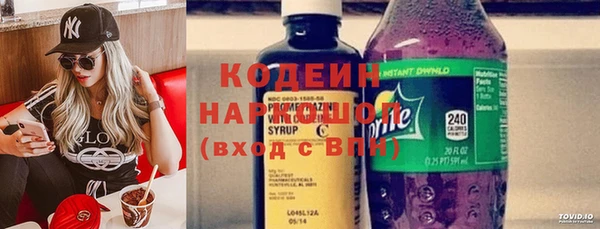 прущие грибы Горнозаводск
