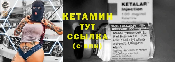 ПСИЛОЦИБИНОВЫЕ ГРИБЫ Вязьма